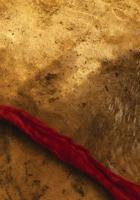 Read Thread: The Story of the Red Thread 3956793226 Book Cover