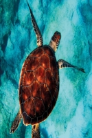 Wasserschildkr�te Notizbuch: fantasiereiches Notizbuch modernes und auff�lliges Notizbuch kariert 120 karierte Seiten Din A5 perfekt als Notizheft, Tagebuch und Journal Geschenk mit Schildkr�te 1712430157 Book Cover