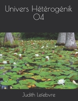 Univers Hétérogénik 04 B08TZHGLMD Book Cover
