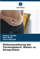 Wehenauslösung bei Termingeburt: Ballon vs. Dinoproston (German Edition) 6630389832 Book Cover
