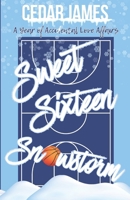 Sweet Sixteen Snowstorm (A Year of Accidental Love Affairs) B0GR5634TC Book Cover