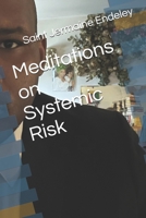 Meditations on Systemic Risk B0GJ7S9ZJ2 Book Cover