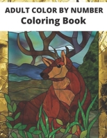 Adult color by number Coloring Book: Adult Color By Number Coloring Book: Large Print Birds, Flowers, Animals and Pretty Patterns B08JJK7R6G Book Cover