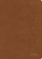 KJV Spurgeon Study Bible, Tan LeatherTouch 1430082658 Book Cover