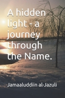 A hidden light - a journey through the Name. (Jamaaluddiin speaks - the diseases of the nafs.) B0FDLDYDRZ Book Cover