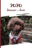 Kalender 2020: Pudel Hunde Tageskalender 1. Halbjahr Januar Juni ca DIN A5 wei� �ber 190 Seiten 1656200902 Book Cover