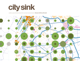 City Sink: Carbon Cycleinfrastructure for Our Built Environments 9881512581 Book Cover