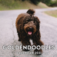 Goldendoodles: 2021 Calendar, Cute Gift Idea For Goldendoodle Lovers Or Owners Men And Women B08SB6VG9N Book Cover