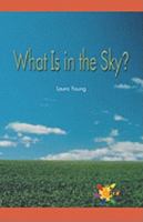 What Is in the Sky 0823963489 Book Cover