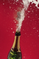 Cuisine Gastronomique Infaillible: Recettes Gastronomiques Faciles pour les Families et les Restaurants (Timeless Recipes) B08BQVVS8W Book Cover