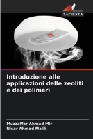 Introduzione alle applicazioni delle zeoliti e dei polimeri (Italian Edition) 620802594X Book Cover