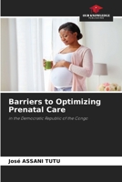 Barriers to Optimizing Prenatal Care 6630484541 Book Cover