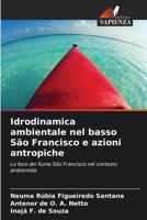 Idrodinamica ambientale nel basso São Francisco e azioni antropiche 620779494X Book Cover