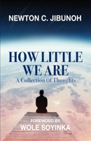How Little We Are : A Collection of Thoughts 1946530212 Book Cover