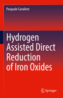 Hydrogen Assisted Direct Reduction of Iron Oxides 3030980553 Book Cover