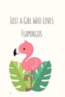 Just a Girl Who Loves Flamingos: Flamingo Gifts for Woman Blank Lined Notebook Journal & Planner | 6 x 9 inches, College Ruled Lined,110 Pages 1691338540 Book Cover