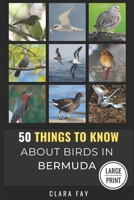 50 Things to Know About Birds in Bermuda Large Print: Birding in a Sub-tropical Paradise (50 Things to Know About Birds - Large Print Series) B0DQPFN8P2 Book Cover