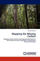 Mapping the Missing Carbon 384652140X Book Cover