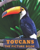 Toucans: The Picture Book of Toucans Perfect for Alzheimer's Patients and Seniors with Dementia. B08RH7MJG4 Book Cover