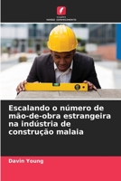 Escalando o número de mão-de-obra estrangeira na indústria de construção malaia 6205673088 Book Cover