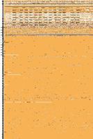 Forgiven: The Cost of the Oil 1493157140 Book Cover