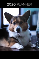 Planner: Increase productivity, improve time management, reach your goals: Adorable Corgi: Modern artistic photography style cover design (Diary) 1692266136 Book Cover
