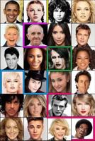 Icons: Celebrity Satire 1329845595 Book Cover