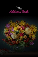 My Address Book: Premium Birthdays & Address Book for Contacts, Addresses, Phone Numbers, Email, Alphabetical Organizer, Large print address book for girlfriend and boyfriend. Gift Address book 1651437068 Book Cover