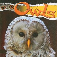 Owls (Raptors) 1606943952 Book Cover