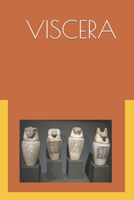 THE VISCERA: Ancient Egyptian Internal Medicine B09HR2F6NY Book Cover