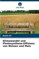 Klimawandel und Photosynthese-Effizienz von Weizen und Mais 6205376318 Book Cover