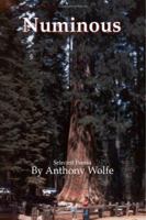 Numinous 1412042038 Book Cover