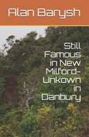 Still Famous in New Milford-Unkown in Danbury B0851KXHX4 Book Cover