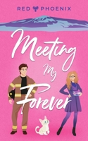 Meeting My Forever 1950624161 Book Cover