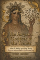 The Forgotten Goddess of the Trinity: Asherah, Sophia, and a First Temple Reconstruction of Father, Mother, and Son B0HCZYXFMW Book Cover