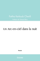 Un Arc-en-ciel dans la nuit (French Edition) 241453429X Book Cover