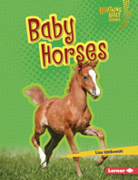 Baby Horses B0CPM56Q3R Book Cover