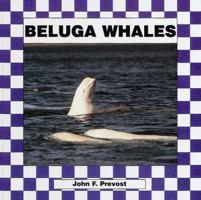 Beluga Whales 1562394770 Book Cover