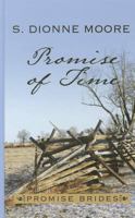 Promise of Time 1616262850 Book Cover