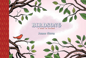 Birdsong: A Story in Pictures 1935179942 Book Cover