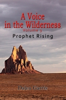 A Voice in the Wilderness: A Prophet Rising 173422133X Book Cover