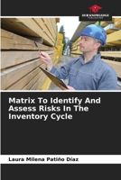 Matrix To Identify And Assess Risks In The Inventory Cycle 6207069234 Book Cover