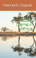 Hidden Gems in Africa: An exploratory travel guide B0CHGB9X9S Book Cover