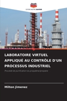 Laboratoire Virtuel Appliqué Au Contrôle d'Un Processus Industriel (French Edition) 6200754039 Book Cover