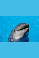 My Joyful Dolphin Journal 1710768460 Book Cover