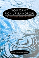 You Can't Pick Up Raindrops: A Collection of Short Stories 1468014560 Book Cover