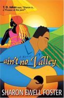 Ain't No Valley: A Novel 0764228862 Book Cover