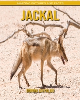 Jackal: Amazing Pictures and Facts B088BF2GDW Book Cover