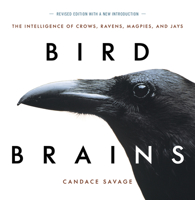 Bird Brains: The Intelligence of Crows, Ravens, Magpies, and Jays 0871569566 Book Cover