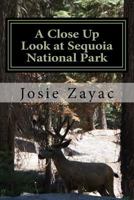 A Close Up Look at Sequoia National Park 1507636563 Book Cover